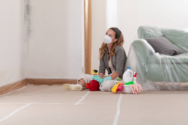 Reliable Mold Removal contractor in Grass Lake, MI by Car Mold Remediation